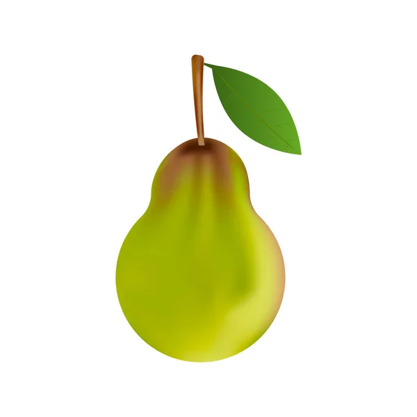 白い背景に実際に熟した梨のベクトル画像 — ストックベクタ