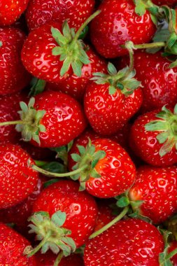 Çilekler tam kaplama, taze böğürtlen 