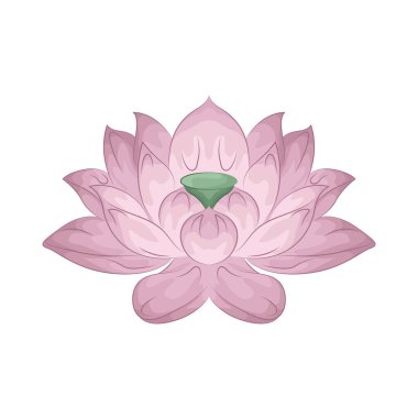 Nilüfer çiçekleri narin ve güzel yapraklarıyla ahenkli katmanlar halinde sersemletici bir çiçek tomurcuğu oluştururlar..