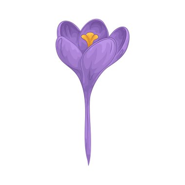 Narin ve güzel taç yapraklarıyla ahenkli katmanlar halinde sersemletici bir çiçek tomurcuğu oluştururlar..