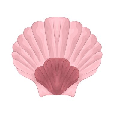 Deniz kabuğu bir deniz yaratığının sert, koruyucu dış katmanıdır. Genellikle kıyılarda karaya vurmuş olarak bulunur..