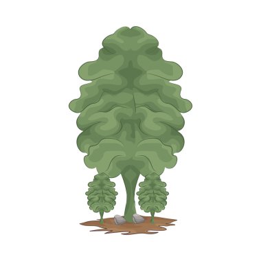 Karbondioksiti absorbe eden, oksijen sağlayan ve doğal yaşam ortamlarını destekleyen ekosistemin önemli bir parçası..