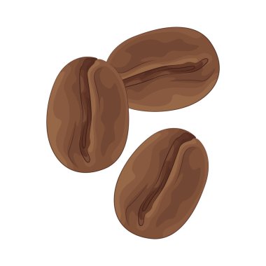 Kahve çekirdekleri kahve bitkisinin kavrulmuş tohumlarıdır, aromatik ve enerji verici içecekler yapmak için kullanılır..