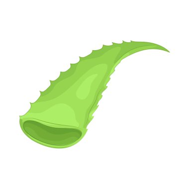 Aloe Vera, cilt bakımı ve tedavisinde kullanılan sakinleştirici jeliyle bilinen sulu bir bitkidir..