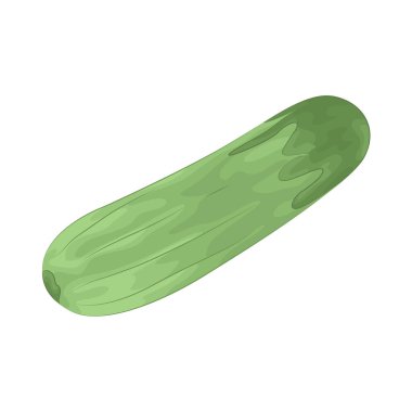 Salatalık, sık sık salatalarda ve içeceklerde kullanılan, yüksek su içerikli, ferahlatıcı yeşil bir sebzedir..