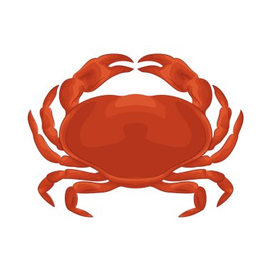 Crabs are crustaceans with a hard shell and pincers, often found scuttling along the seabed or hiding in rocky crevices.