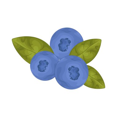 Yabanmersini, beyin ve kalp sağlığını destekleyen küçük antioksidan zengini meyvelerdir..