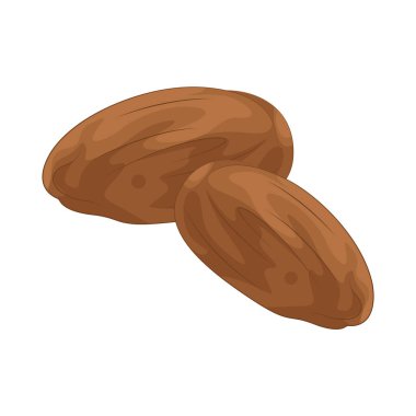 Badem, sağlıklı yağ, protein ve lif açısından zengin besin yoğunluklu fındıklardır. Kalp sağlığı için idealdir..