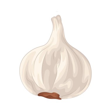 Sarımsak bağışıklık güçlendirici özellikleri ve doğal olarak yemekleri geliştirme yeteneği ile bilinen lezzetli bir bitkidir..