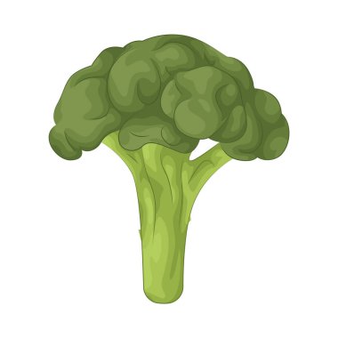 Brokoli, lifler, vitaminler ve antioksidanlarla dolu besin yoğunluğunda yeşil bir sebzedir..