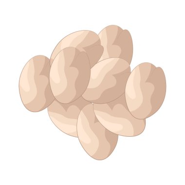 Soya fasulyesi, genellikle sağlıklı beslenme düzenlerinde bitki bazlı protein kaynağı olarak kullanılan protein paketlenmiş baklagillerdir..