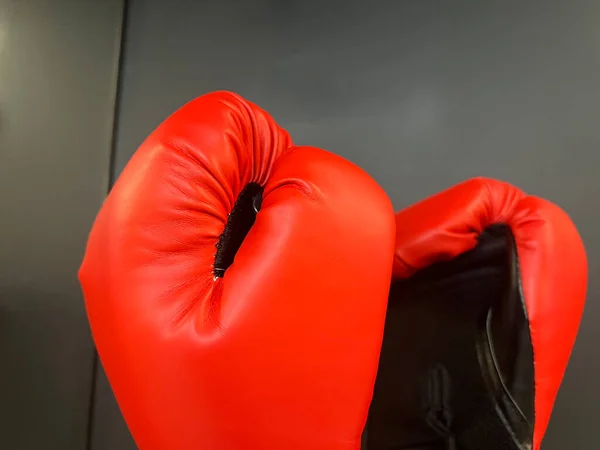 red boxing cloves isolated on grey background. 