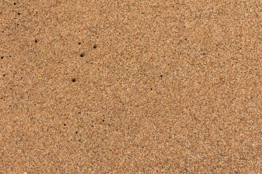 Kumda nokta olarak küçük bir delik, deniz kumunun arka planı.