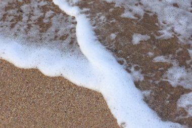 Kumsalın kumlarında Y şeklinde deniz köpüğü.