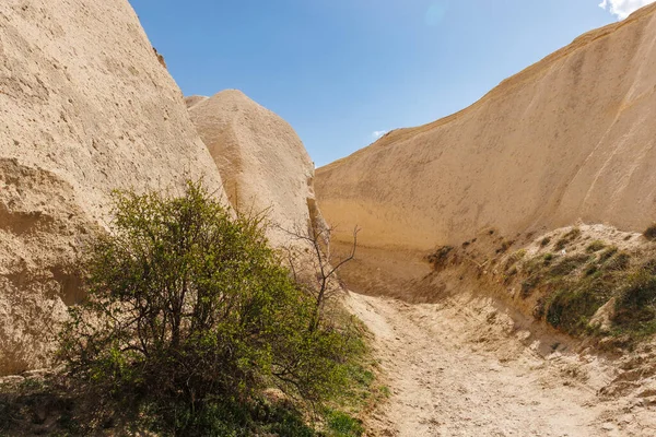 Toprak kayalıkları ve mavi gökyüzünün altındaki bir ağaç arasında kirli bir patika.