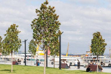 Kabata kıyılarındaki ağaçlar ve İstanbul 'daki yolcu feribotları.