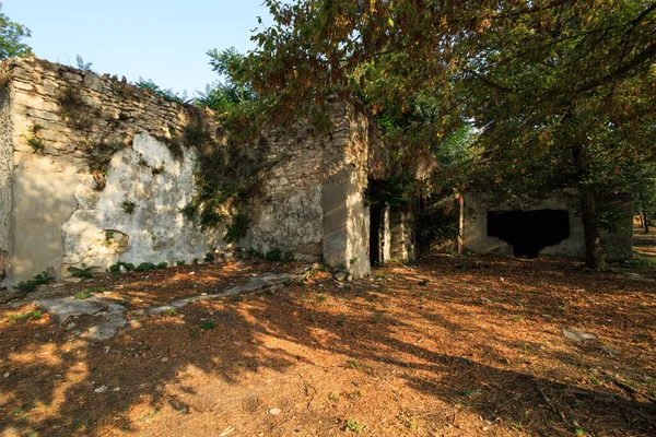 İstanbul 'da tarihi bir harabe ve ağaçlar var.