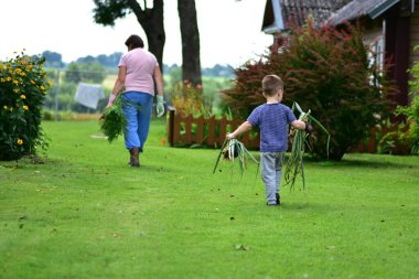 Grandmother in pink shirt and blue pants walks across lawn with carrots in hand, while young boy in striped shirt follows carrying freshly harvested onions, summer family garden work.