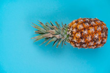 tropikal arkaplan turkuaz mavi ve ananas üst görünümü