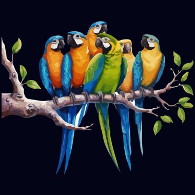 Papağan papağan renkli uçan kuşlar