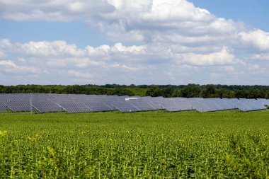 Solar panel fields in Moldova