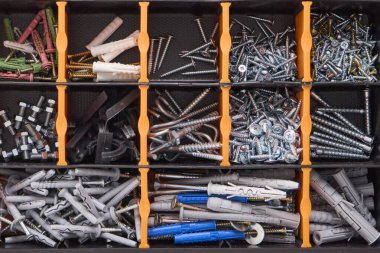 Various screws and bolts organized neatly in individual compartments