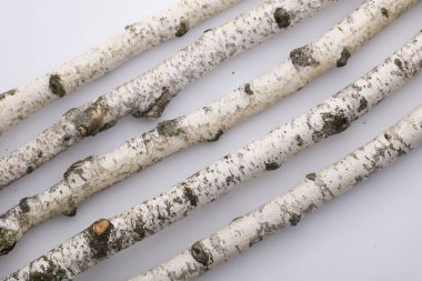 A few birch sticks with smooth, white bark and delicate textures, arranged on a light background.