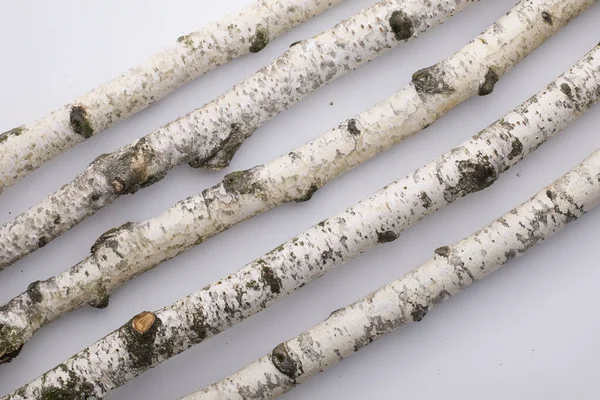 A few birch sticks with smooth, white bark and delicate textures, arranged on a light background.