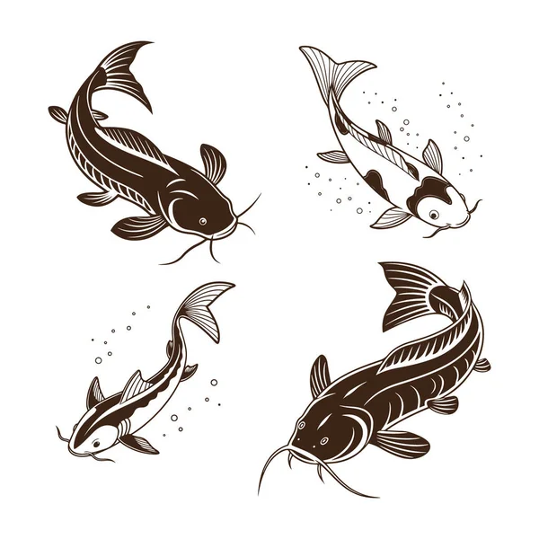 Dört elle çizilmiş koi balığı çizimleri, çeşitli yüzme pozisyonlarında tasvir edilmiş, enerjik su sıçramalarıyla..