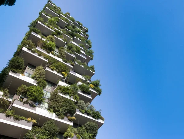 Milan, İtalya, 10 Haziran 2017: Gökdelen dikey orman (Bosco Verticale). 900'den fazla ağaç türlerin varlığı bu binanın özel özelliğidir.