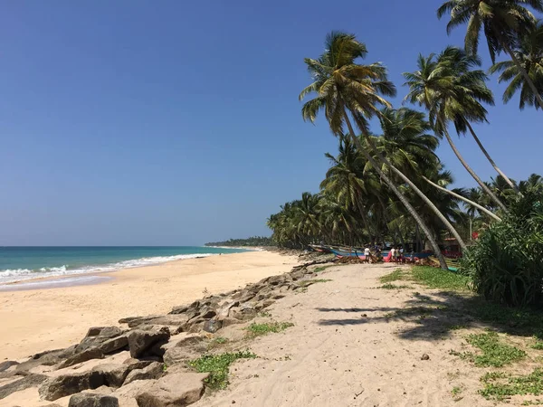Tropikalna Plaża Palmami Sri Lanka — Zdjęcie stockowe