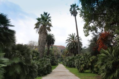 Roma, İtalya 'daki Botanik Bahçesi Parkı