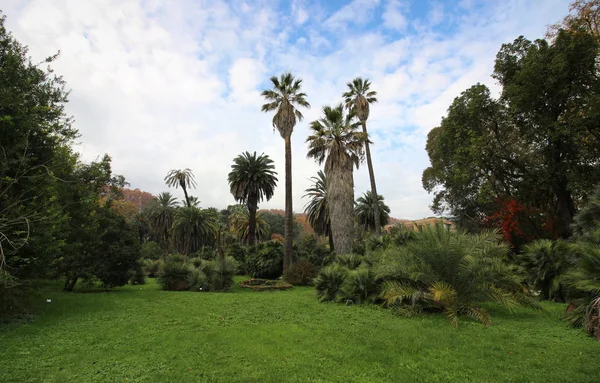 Roma Talya Daki Botanik Bahçesi Parkı — Stok fotoğraf