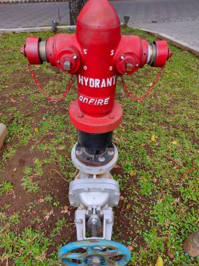 'HYDRANT On Fire' etiketli kırmızı bir yangın musluğunun çarpıcı yakın çekimi, yeşil çimlerin üzerinde duruyor.