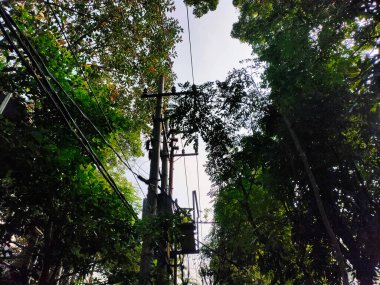 Aşağıdan bir elektrik direği ve karışık elektrik hatları görülüyor. Etrafı kalın, yeşil bir orman tepe örtüsüyle çevrili.