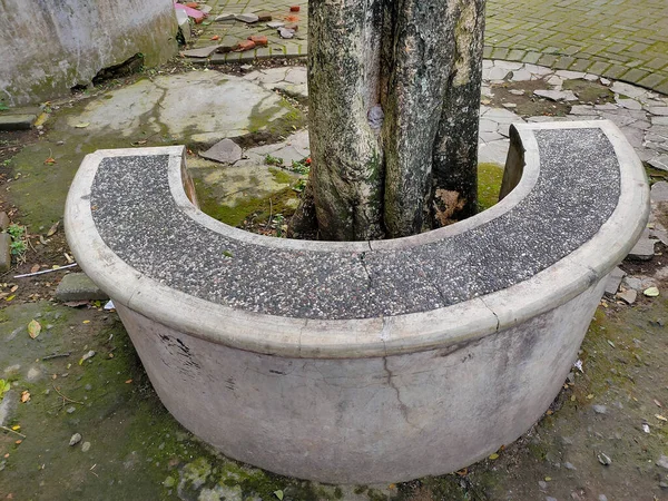 Sağlam, kıvrımlı beton bir bank, ağaç gövdesinin etrafına sarılmış, dokusu koyu gri bir oturma yüzeyi var.