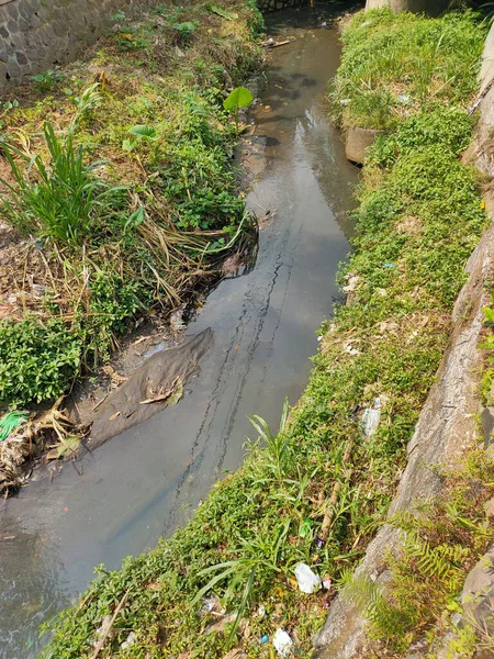 Polluted Waterway Surrounded by Overgrown Greenery and Debris