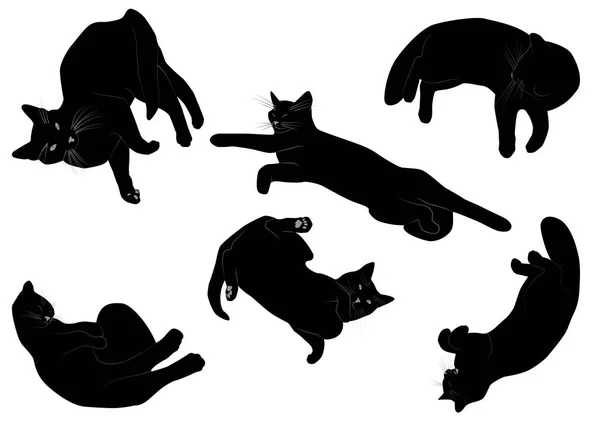 Grupo Silueta Gato — Vector de stock