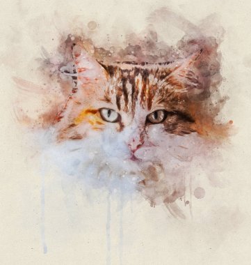 Üç renkli bir kedi suluboya Portre illüstrasyon
