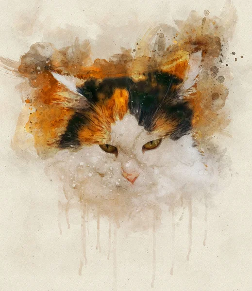 Ilustración en acuarela de un gato calico — Foto de Stock