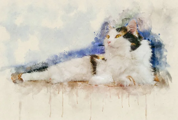 Illustration aquarelle d'un chat calico — Photo