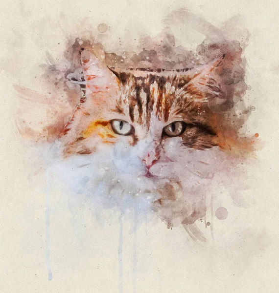 Aquarell Portrait Illustration einer tricolor Katze — Stockfoto