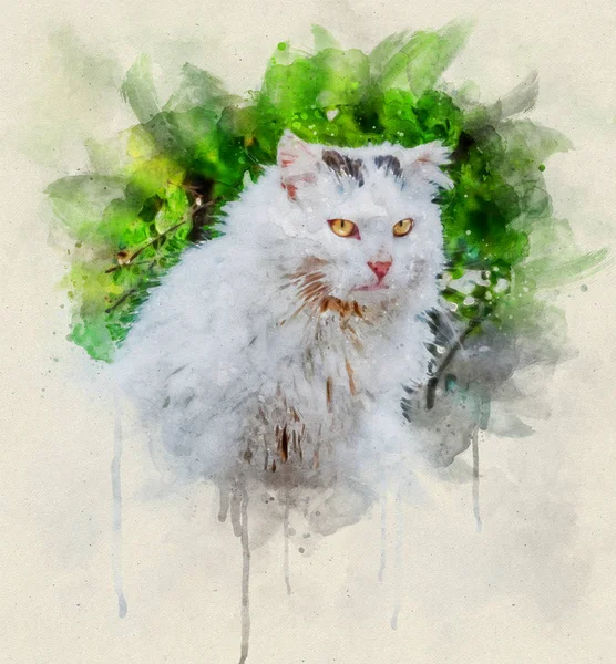Aquarell-Illustration, Porträt eines schmutzigen weißen Streuners — Stockfoto