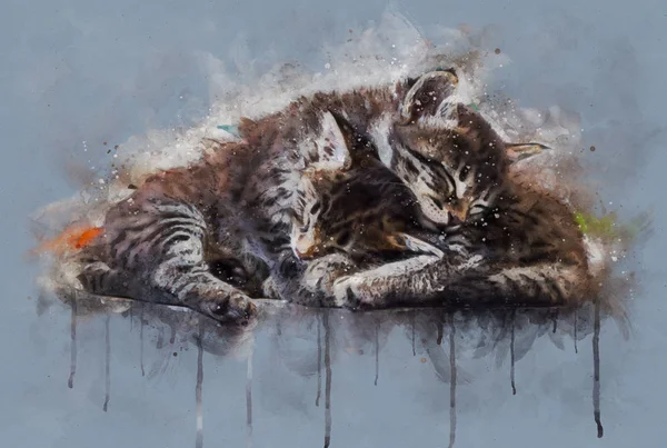 Ilustración de acuarela, Dos pequeños gatos tabby durmiendo juntos — Foto de Stock
