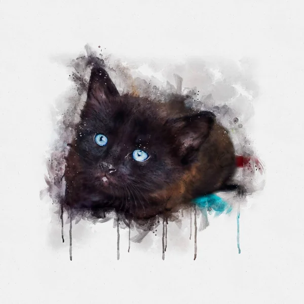 Aquarell-Illustration, Porträt einer kleinen schwarzen Katze mit Blu — Stockfoto