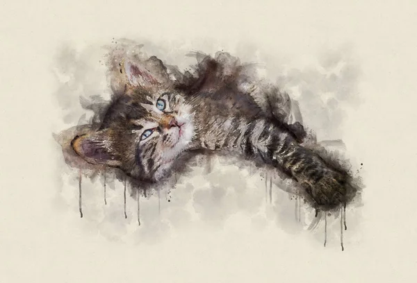 Ilustración de acuarela, Pequeño gato tabby descansando — Foto de Stock