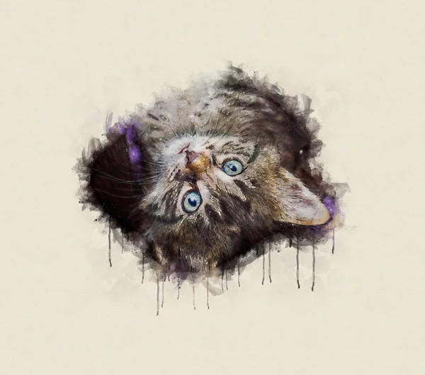 Illustrazione ad acquerello, Piccolo gatto tabby che riposa, alzando lo sguardo — Foto Stock