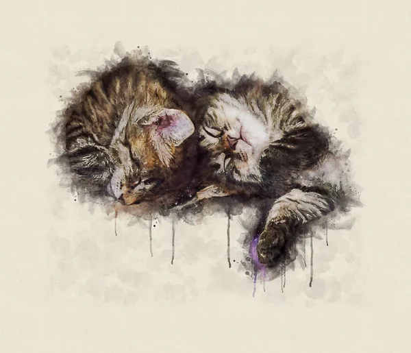 Ilustración de acuarela, Grupo de pequeños gatos tabby durmiendo juntos — Foto de Stock