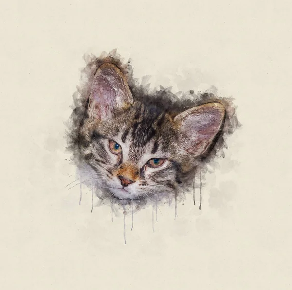 Ilustración de acuarela, Cabeza de un pequeño gato tabby — Foto de Stock