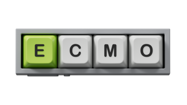 Eko kelimesi bilgisayar klavye tuşlarına yazılır. Tıbbi konsept. Bilgisayar klavye anahtarlarını kapat, İş Konsepti. Şeffaf arkaplan içeren PNG dosyalarını gönderir.